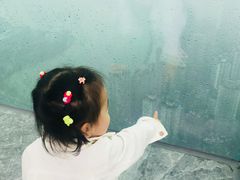 -WFC会仙楼观景台