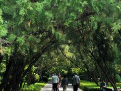 -迎泽公园