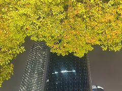 -金鸡湖景区