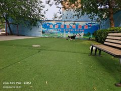 -宠物寄养训练学校