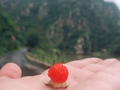 -大连天门山国家森林公园