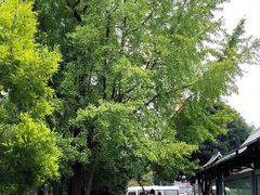 -成都武侯祠博物馆