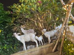 -可汗碳烤羊腿·羊排·全羊(布吉信义店)