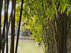 -浙江大学(紫金港校区)