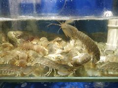 -雅逸居海鲜小厨