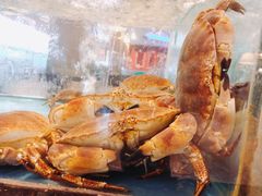 -都市阳光海鲜城(青山湖店)