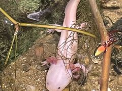 -正佳雨林生态植物园