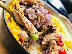 「勇往直前」金枪鱼波奇-人鱼崛起低卡健康餐(大华店)