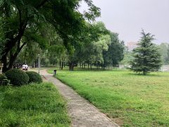 -望湖公园