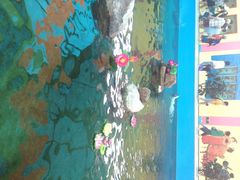 -北戴河圣蓝海洋公园