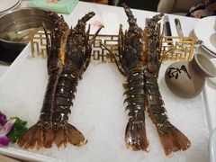 小青龙-帝皇海海鲜豆捞(桐泾商务广场店)