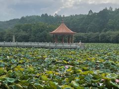 -南国桃园旅游度假区