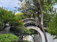 -秋霞圃