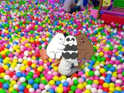 -欢乐陶陶儿童主题乐园(龙岗店)