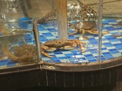 水产区-新塘畔酒楼(里水大道北店)