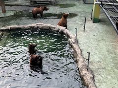 -深圳野生动物园