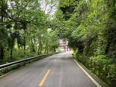 -青城山
