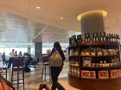 -米兰马尔彭萨国际机场