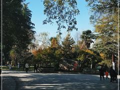 -莲湖公园
