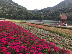 -广州市石门国家森林公园