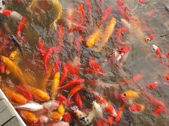 -泰安地下龙宫景区