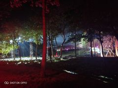-天适樱花悠乐园