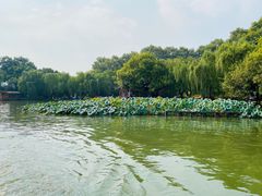 -西湖游船
