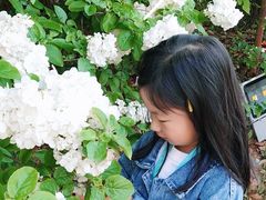 -平湖九龙山庄园圣马可酒店