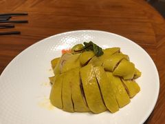-老绍兴养和饭店(向阳不夜城店)