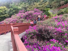 -广州市石门国家森林公园