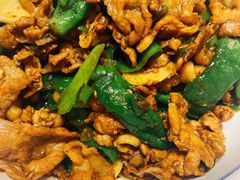 湘村黑猪辣椒炒肉-壹盏灯(惠农店)