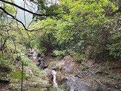 -梧桐山风景名胜区