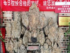 -成老灶火锅鸡(平山店)
