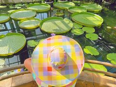 -国家植物园南园