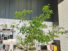 -万达广场(北京槐房店)