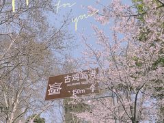 -鸡鸣寺
