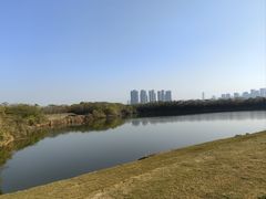 -盘龙城国家考古遗址公园