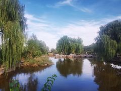 -北京西山国家森林公园