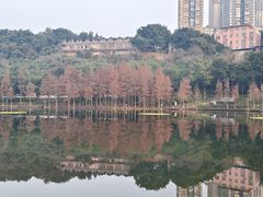-重庆彩云湖湿地公园