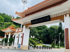 -深圳仙湖植物园