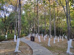 -花溪公园