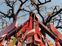 -香山公园