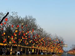 -龙湖星悦荟(颐和店)