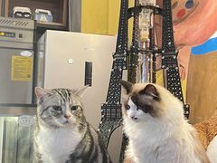 -咖法森林·咖啡  酒吧(天河店)