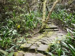 -水濂山森林公园