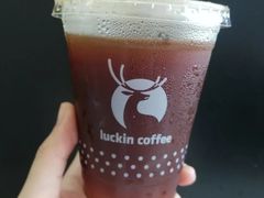 龙眼冰萃咖啡-瑞幸咖啡(高新政务中心店)