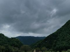 -狮子沟牧场