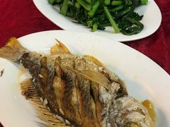 -蛇口康乐快餐鱼仔档(翠苑小区店)