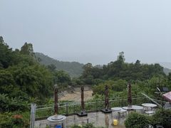 -天强农家菜馆