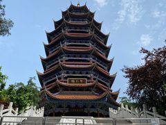 -铁山坪森林公园